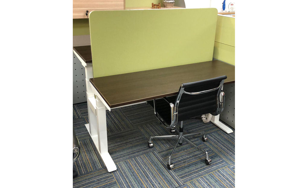 adjustable table dual motor ErgoDesk-offitek