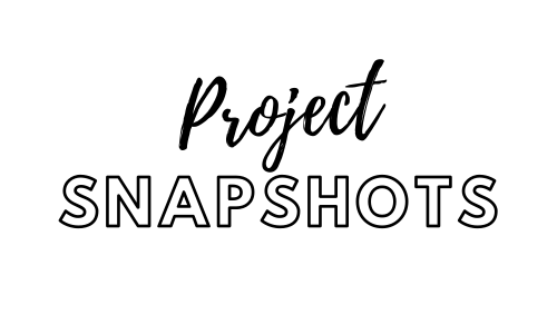 Project Snapshots