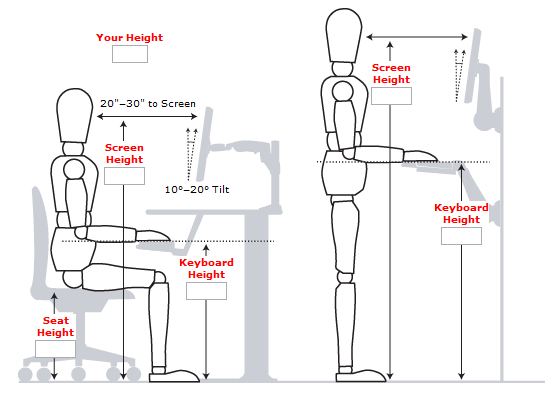 ergonomic sitting position